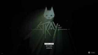 Learning to be a cat | Playing Stray for the First Time