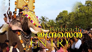 Guruvayur Indrasen Elephant First Capture