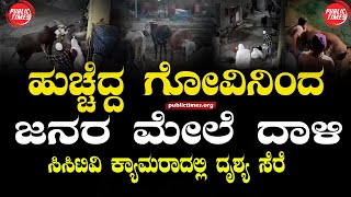 ILKAL | COW | INCIDENT | CC TV | ಇಳಕಲ್ಲ ನಗರದಲ್ಲಿ ಹುಚ್ಚೆದ್ದ ಗೋವಿನಿಂದ ಜನರ ಮೇಲೆ ದಾಳಿ