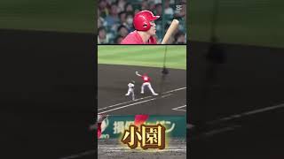 小園選手応援歌リクエストです #応援歌 #小園海斗 #広島東洋カープ