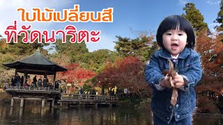 โนอะจัง | พาเที่ยวดูใบไม้เปลี่ยนสีที่วัดนาริตะซัง27 พฤศจิกายน 2560