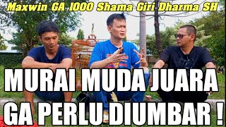 MAXWIN JUARA LAGI‼️ RAWATAN SETINGAN HARIAN MURAI BATU MUDA JUARA LOMBA GA 1000 SHAMA GIRI DHARMA