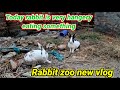 Today rabbit is very hangary eating something | rabbit zoo vlogs new vlog