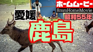 愛媛県南予の鹿島（昭和55年）８mmテレシネ