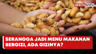 Serangga Jadi Menu MBG, Bagaimana Gizinya? | Beritasatu