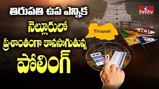 నెల్లూరులో ప్రశాంతంగా పోలింగ్ | Tirupati By- Elections Live Updates in Nellore | hmtv