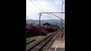 特急しおかぜ22号 豊浜駅通過