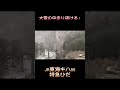 大雪の中走り抜ける！ jr東海高山線 キハ85 特急ひだ shorts キハ85系 キハ85 特急ひだ 高山線 大雪 冬 最後の冬