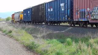 CORP White City Local Train with WRIX SW1 (#1001) @ Central Point OR