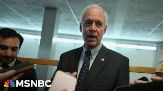 Senate Republicans emerge divided from megabill briefing