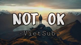 NOT OK ( Lyrics+Vietsub)| Robert Grace