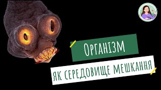 Організм як середовище мешкання