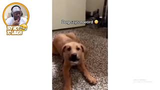 KSI reacts to Dog saying N word
