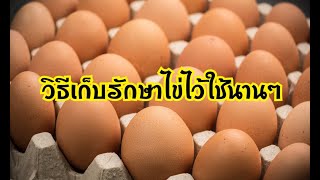 วิธีเก็บไข่ไก่ให้อยู่ได้นาน by แม่เมย์MeFa