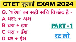 Ctet July Exam 2024 || Ctet Pedagogy Classes || Ctet Classes 2024 || Ctet Previous Year Question ||