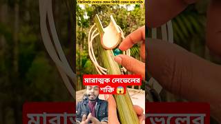 এটাকে আপনার দেশের ভাষায় কি বলে | #shorts #bamboo #viralvideo