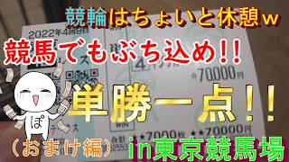 競輪プロが天皇賞秋デーに東京競馬場参上ｗ単勝ぶち込みでＪＲＡをぶっこわーす！（ポカまる）