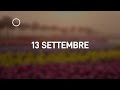 13 Settembre 2024 | Meditazione Parole di Vita