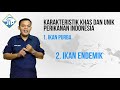 introducing jaring informasi perikanan