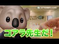 【コアラ先生】名前を変えます！その理由とは？