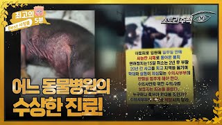 [최고의 5분_스토리추적M] 아토피로 입원한 반려견이 일주일 만에 사체로 돌아왔다!? MBN 220623 방송