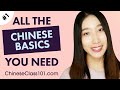 ALL the Basics You Need to Master Chinese #1