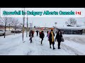 Snowfall in Calgary Alberta Canada #canada #calgary #alberta