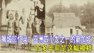 狮城回忆录：亚洲四小龙之一的新加坡，一百多年前是这幅模样