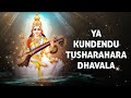 Special Saraswati Vandana /  Shailendra Bharti  / Music to awaken Vishuddha Chakra