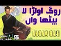Rog Awalarha La Baitha Waan - Full Audio Song - Akram Rahi (1989)