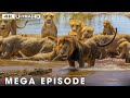 World's Deadliest MEGA EPISODE | Ultimate Predators | Nature Animal Documentary