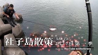 【社子島散策 2019 第一季】03/29 金目鱸成精了