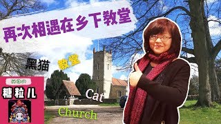 在英国乡下的教堂小院里，竟然再次遇见了他…Met him again in the Church of Country Side England,one of the black cat