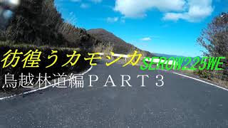 彷徨うカモシカ鳥越峠鳥越林道編PART3【APEMANA66】