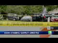 Davis stabbing suspect's neighbors speak out