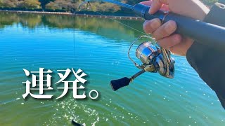 魚のレンジはどこ？連発させるサーチ方法を解説！【エリアトラウト】