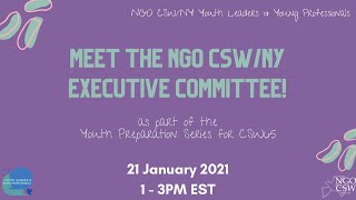 Meet the NGO CSW/NY Executive Committee!: Youth Preparation Series for NGO CSW65