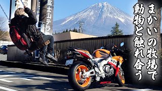 【バイク女子】バイクと動物と富士山【CBR1000RR SC57後期 逆車】まったりツーリング【まかいの牧場】