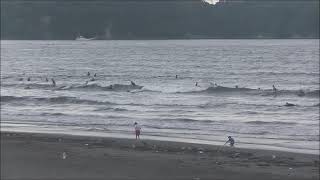 2021.8.21 湘南波情報動画　AM5:40 鵠沼　Jerry Smith