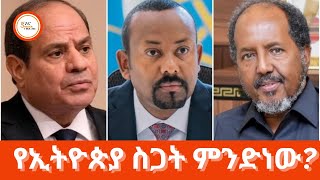 ግብፅ በሶማሊያ ወታደሮቿን ብታሰፍር፤ ለኢትዮጵያ ስጋት የሚሆነው ለምንድነው?