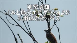 別宮貞雄　「木と鳥のエピグラム」より　３．羽ばたけ　バス