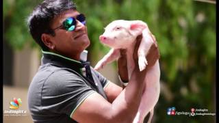 Director Ravi Babu making film on Piglet | Latest  | IndiaGlitz Telugu