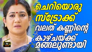 മനസ്സ് തുറന്ന് സാന്ത്വനത്തിലെ സാവിത്രി | DIVYA BINU I CLIP MALAYALAM