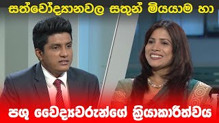 BIG FOCUS | සත්වෝද්‍යානවල සතුන් මියයාම හා පශු වෛද්‍යවරුන්ගේ ක්‍රියාකාරීත්වය