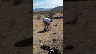 Desert golf with Brad Hammond.