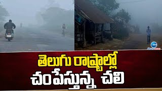 Increased Cold Intensity in Telugu States | తెలుగు రాష్ట్రాల్లో పెరుగుతున్న చలి తీవ్రత | ZEE Telugu