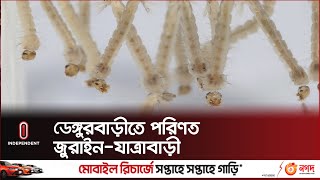 দেশে মোট শনাক্ত রোগীর ১৭%  এই দুই এলাকার | Dengue prone area | Independent TV