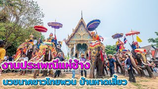 งานประเพณีแห่ช้างบวชนาคไทยพวน บ้านหาดเสี้ยว ณ วัดหาดเสี้ยว Part 4/6