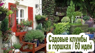 Садовые растения в горшках: оригинальные идеи цветочных клумб.