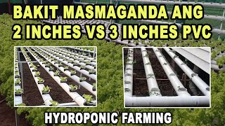 Tips Hydroponic Farming at Home - 2 Inches VS 3 Inches PVC Pipe - Hydro Farm explained in Filipino